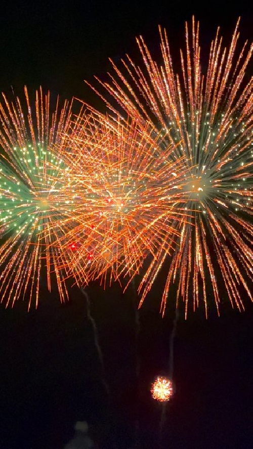 Fotos de Sauce Grande (Monte Hermoso)