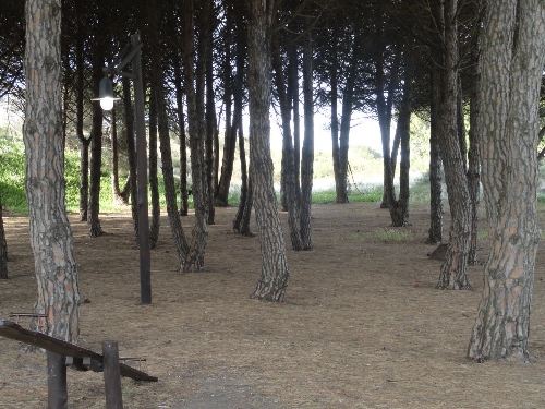 Fotos de Sauce Grande (Monte Hermoso)