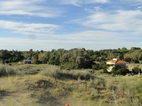 Fotos de Sauce Grande (Monte Hermoso)